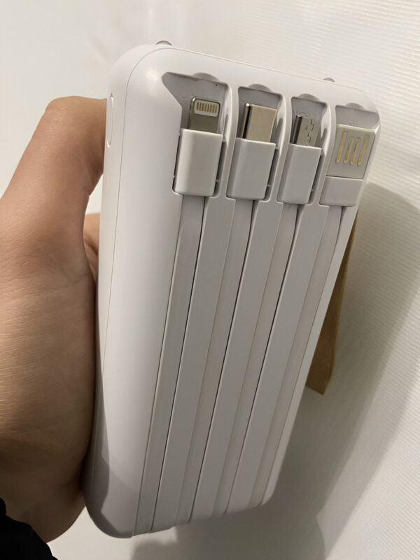 Повербанк Viaking 30000 mAh с солнечной панелью, 4 кабеля, Портативное зарядное устройство