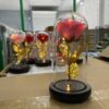 Роза в колбе с LED Маленькая №A54 Розовая