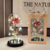 Роза в стеклянной колбе LED RED GOLD с LED подсветкой Rose of Love Красная