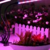 Ультрафиолетовая лампа для растений j22wl-03 LED LIGHT Полный спектр 3 головы LED