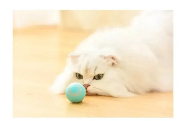 Игрушка для кошек Stress Cat / Шарик с силовой гравитацией, который сам катается для котов и котят LY-599