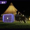 Электрическая лампа от комаров Electric Shock Mosquito Lamp  BG-009 Антимоскина лампа от насекомых