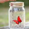 Декоративный ночник Бабочка в банке Butterfly Интерактивная порхающая бабочка в банке с подсветкой