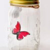 Декоративный ночник Бабочка в банке Butterfly Интерактивная порхающая бабочка в банке с подсветкой